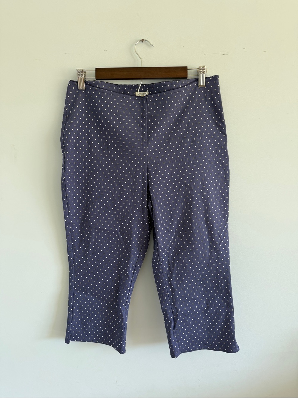 Kimchi Blue Navy Blue Polka Dot Capris